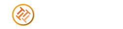 Teramobile
